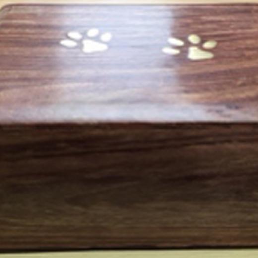 paw print