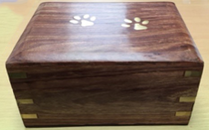 paw print